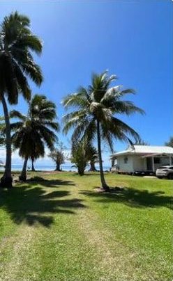 Grand jardin avec cocotiers jusqu'à la mer